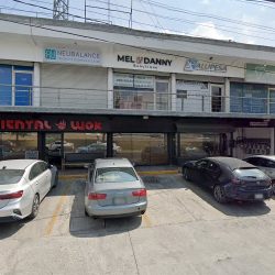 Abril Rincon Dueñas Dentista Monterrey