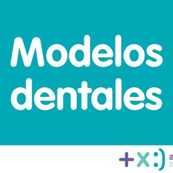 Addex Express (sucursal Salvatierra)