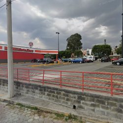 Alegra