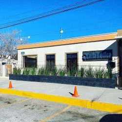 Alfamédica Dental