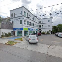 Alicia Bolívar Luna Dentista