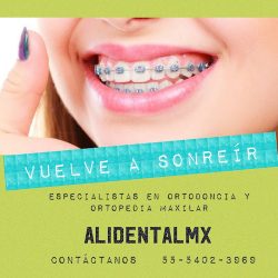 Alidentalmx Consultorio Dental