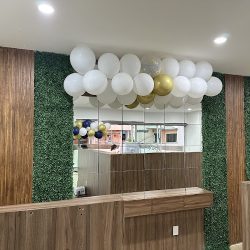 Am Dental Clínica De Especialidades Odontológicas