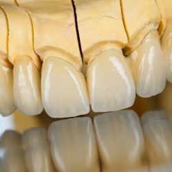 Argodent Laboratorio Dental Sma