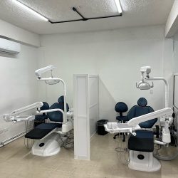 Arlodent, Servicios Dentales, Cd. Carmen