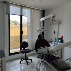 Arpe Dental