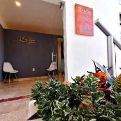 Art- Dent Consultorio Dental-rehabilitacion Oral En Playa Del Carmen