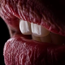 As Dental - Dra Alejandrina Segovia