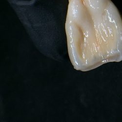 As Dental Studio