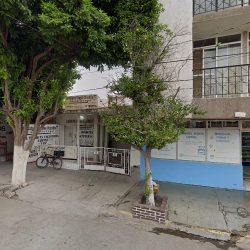 Avr Dental