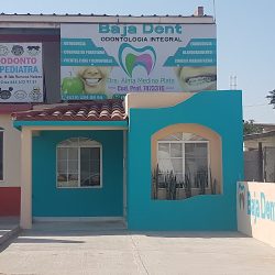 Baja Dent Vizcaino