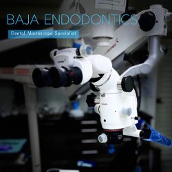 Baja Endodontics