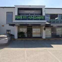 Bio Dental