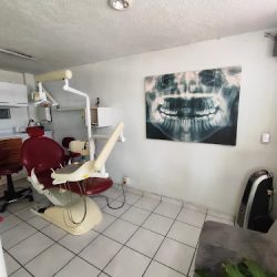 "bio Dental"