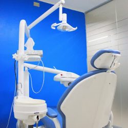 Biodentis