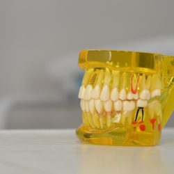 Blue Dental Morelia
