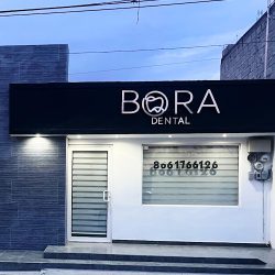 Bora Consultorio Dental. Dra. Valeria Borrego