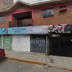 Brío Dental. Dra. Ingrid Olvera