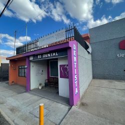 Bs Dental