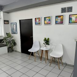 Bs Dental Torreón