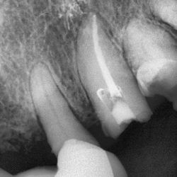 C.e.o Dental (centro De Especialidades Odontológicas)