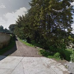 Cedro De La Manzana, San Jose Del Rincon