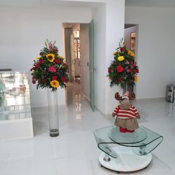 Centro Estomatológico San Juan Bautista