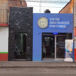 Centro Odontológico Profesional