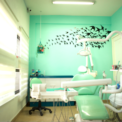 Ceredental (centro De Restauración Dental)