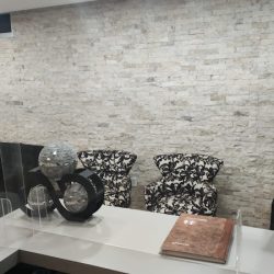 Ciirujano Dentista U.de Cl