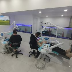 Cimavip 