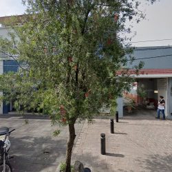 Circulo Medico Dental