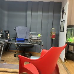 Cirujano Dentista Dr. Francisco Figueroa