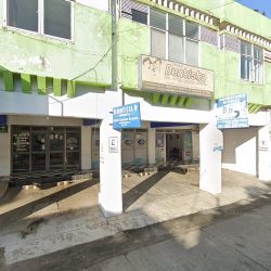 Cirujano Dentista Dra. Leticia Cansino Argueta “endodoncista”