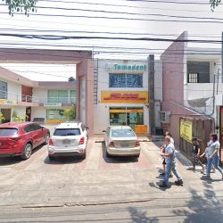 Cirujano Dentista. Dra. Teresa E. Bello
