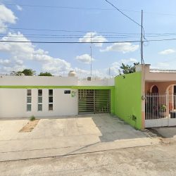 Cirujano Dentista Especialista En Periodoncia
