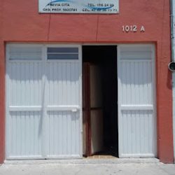 Cirujano Dentista