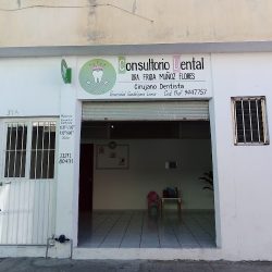 Cirujano Dentista