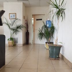 Cirujano Dentista