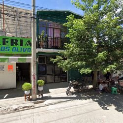Cirujano Dentista Unam Adolfo Benavides