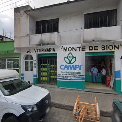 Cirujano Dentista Y Ortodoncista Dra. Raquel Damian Ochoa