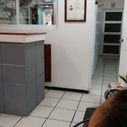 Cirujanos Dentistas