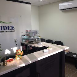 Clidee