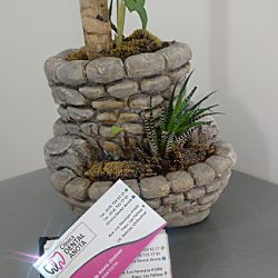 Clinca Dental Anota