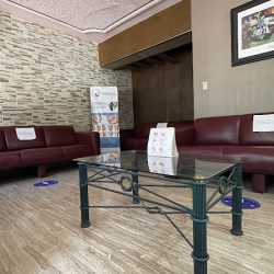 Clínica De Especialidades Dentofaciales S.c.