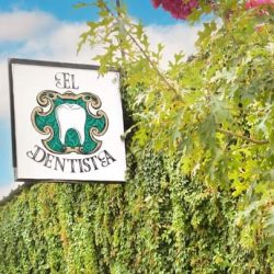 Clinica De Especialidades Odontologicas El Dentista