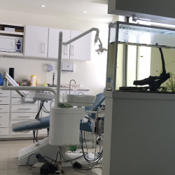 Clinica Dental Alband