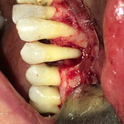 Clínica Dental Cyto-dentaldey