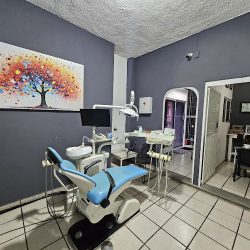 Clinica Dental Endored.