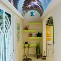 Clínica Dental Floresta
